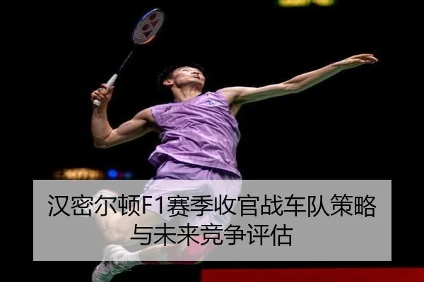 汉密尔顿F1赛季收官战车队策略与未来竞争评估